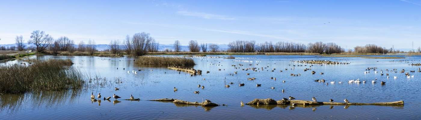 Colusa County Information & Resources for Children & Families